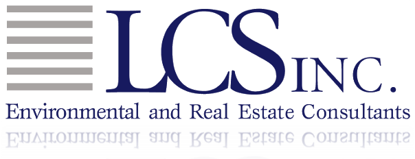Lender Consulting Services Logo